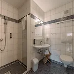 Bergbaur 3*